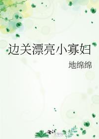 边关漂亮小寡妇 免费阅读 笔趣阁