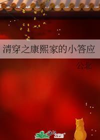 清穿之康熙家的小宠妃完结