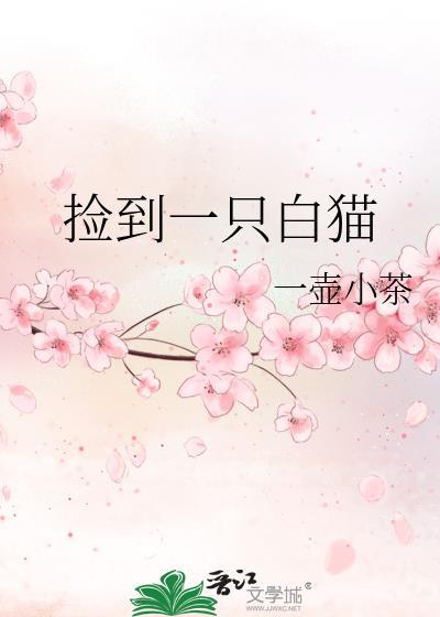 捡只白猫有什么预兆