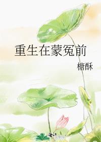 重生在蒙冤前by糖酥免费阅读