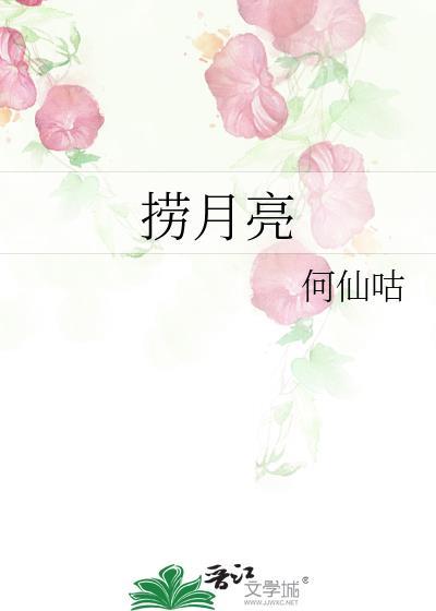 捞月亮的人歌词