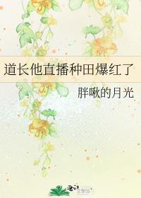 打怪掉落五条猫猫之后笔趣阁
