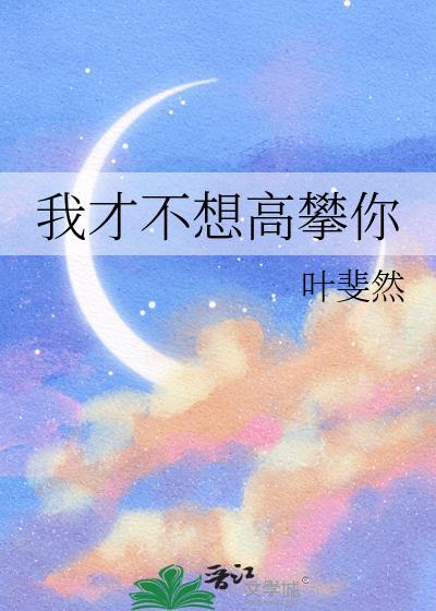 我想高攀你什么意思