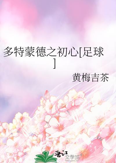 多特蒙德介绍