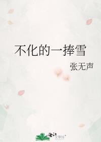 不化的一捧雪TXT资源