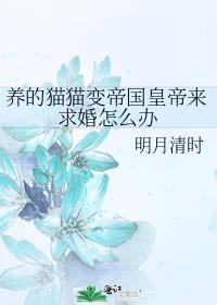 皇帝变成猫