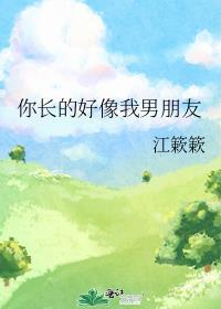 你长的像他