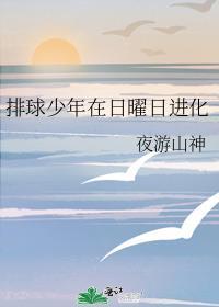 排球少年日向救球