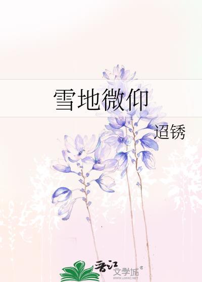 雪地是啥