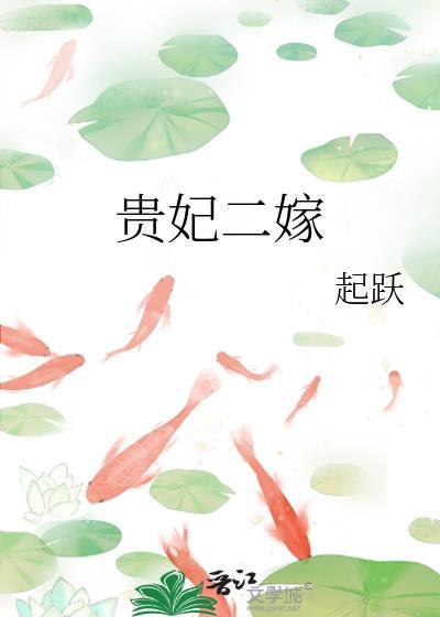 贵妃二嫁全文免费阅读