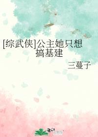 [综武侠]公主她想搞基建