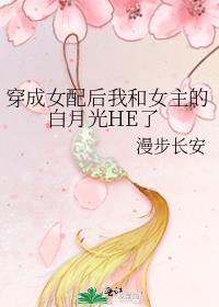 马甲是剧本组不是美强惨