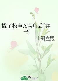 撬了校草A墙角后[穿书]